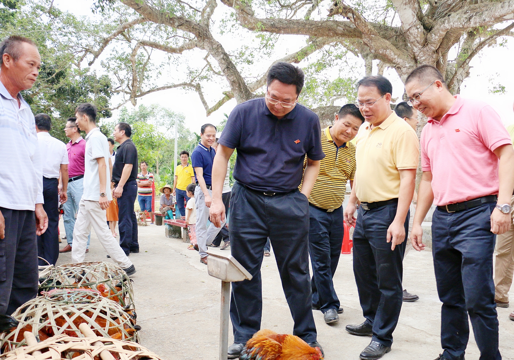 尊龙凯时 - 人生就是搏!